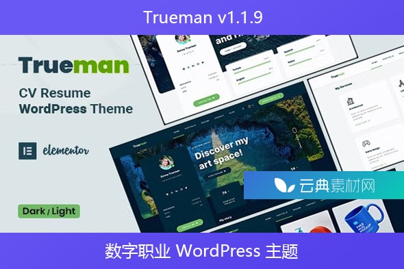 Trueman v1.1.9 – 数字职业 WordPress 主题