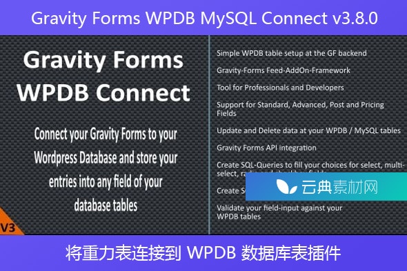 Gravity Forms WPDB MySQL Connect v3.8.0 – 将重力表连接到 WPDB 数据库表插件