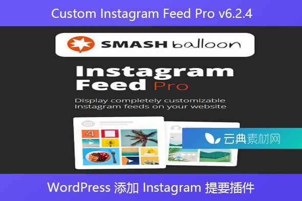 Custom Instagram Feed Pro v6.2.4 – WordPress 添加 Instagram 提要插件