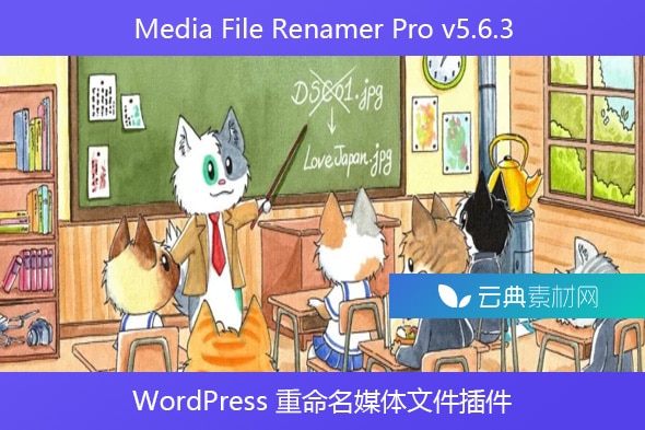 Media File Renamer Pro v5.6.3 – WordPress 重命名媒体文件插件