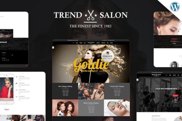 WordPress主题 Trend Salon WordPress Theme 云典WordPress主题