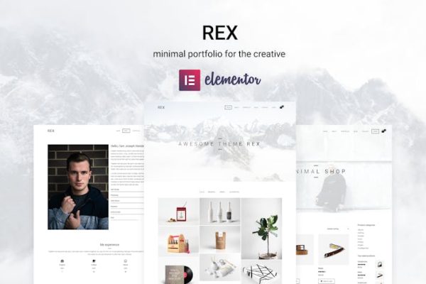 Rex—最小WordPress组合主题 Rex – Minimal WordPress Portfolio Theme 云典WordPress主题