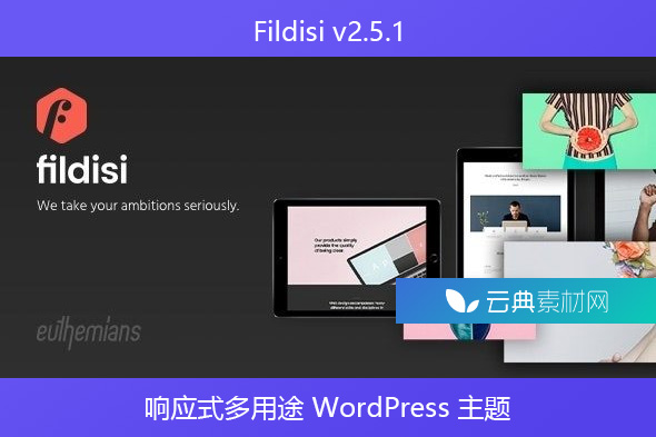 Fildisi v2.5.1 – 响应式多用途 WordPress 主题