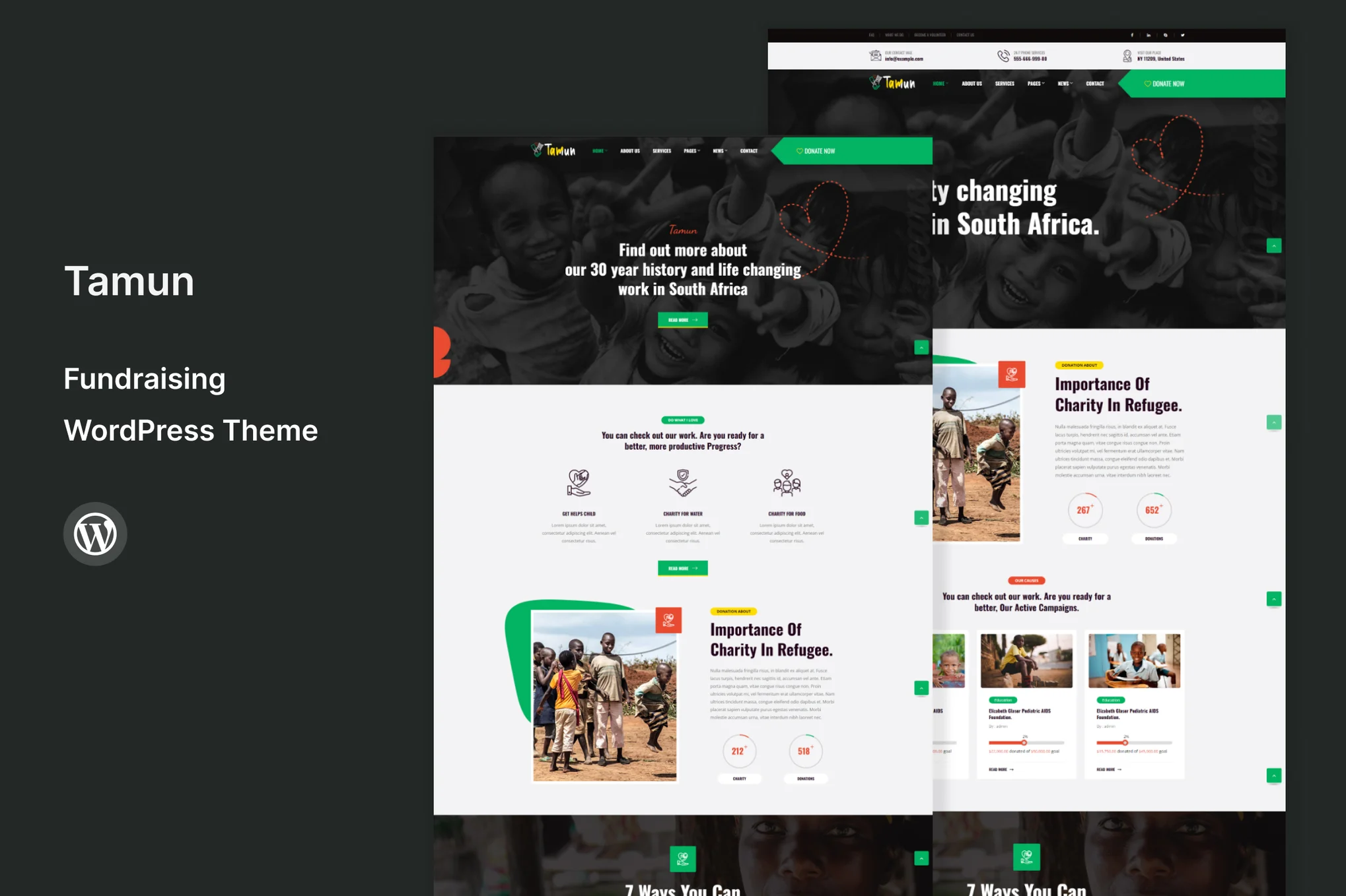 Tamun-筹款 WordPress 主题