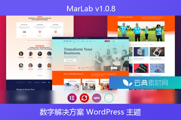 MarLab v1.0.8 – 数字解决方案 WordPress 主题