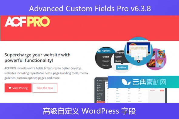 Advanced Custom Fields Pro v6.3.8 – 高级自定义 WordPress 字段