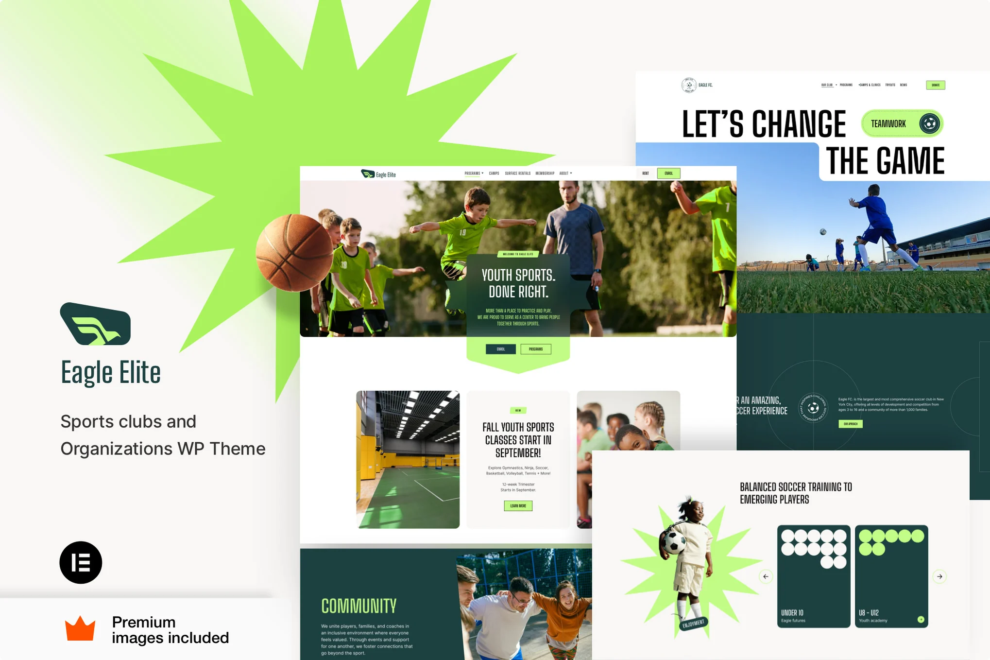 EagleElite-体育俱乐部 WordPress 主题