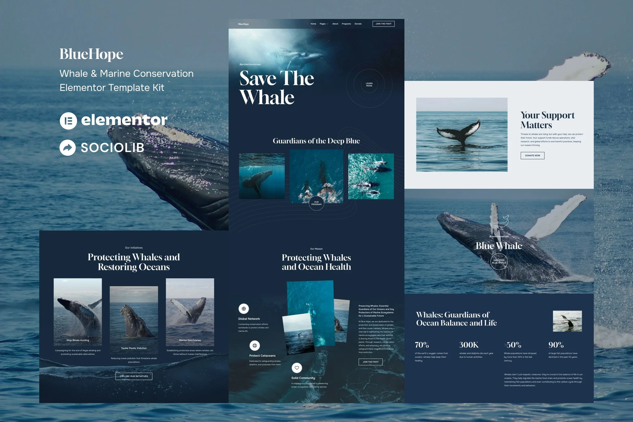 BlueHope – 鲸鱼与海洋保护 Elementor 模板套件