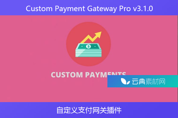 Custom Payment Gateway Pro v3.1.0 – 自定义支付网关插件