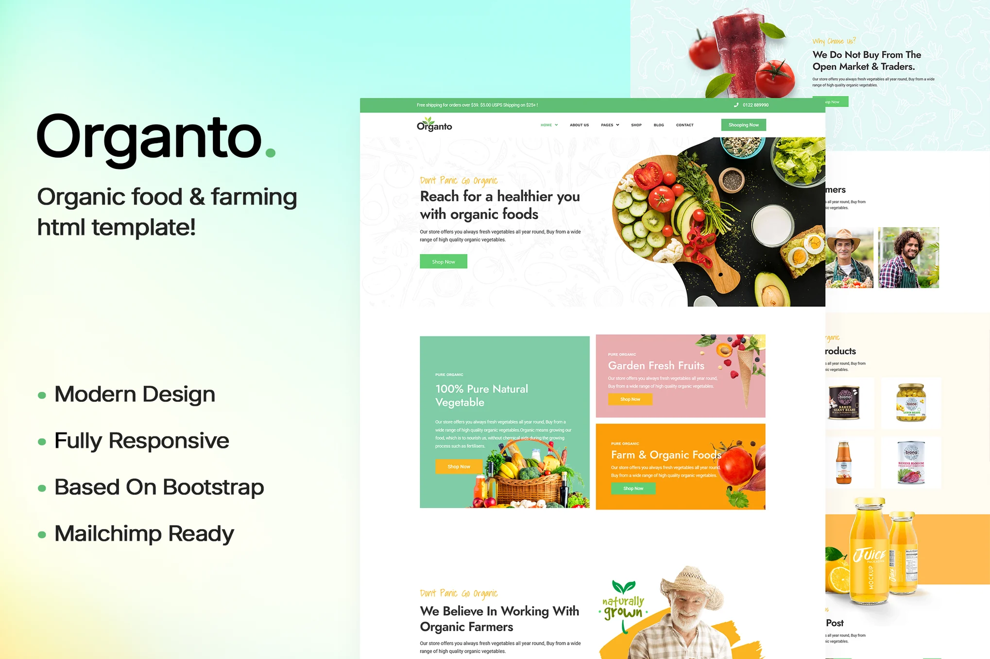 Organto | 有机食品和农业HTML模板