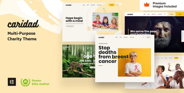 Caridad 45 – Charity WordPress Theme