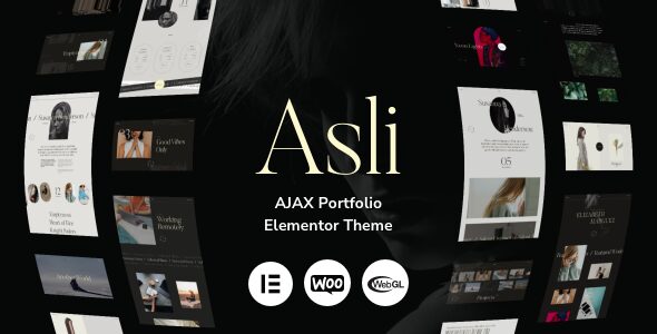 Asli 1.9.13 – AJAX 组合元素WordPress 主题