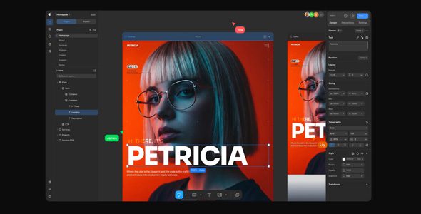 Kirki Pro 6.2.0 – WordPress 网站生成器