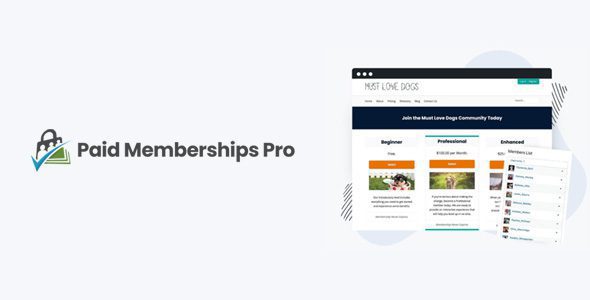 付费会员Pro 3.8.3 + 插件——WordPress会员插件和订阅平台