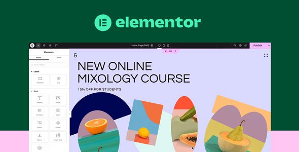 Elementor Pro 4.3.0 – Beta 3 — WordPress 页面构建器插件